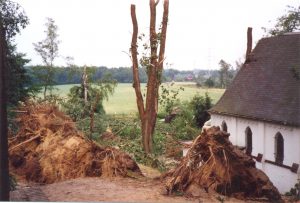 STORMSCHADE 8