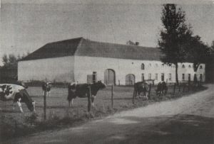 ELISABETHSHOF 6