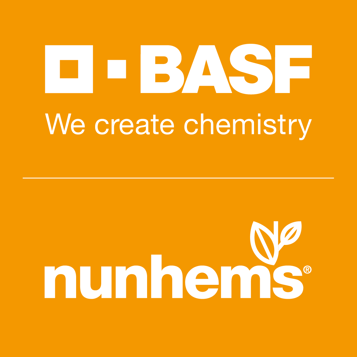 BASF Nunhems zaden