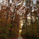 Herfst in volle glorie