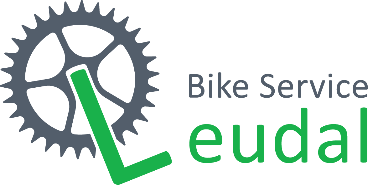 Bike Service Leudal